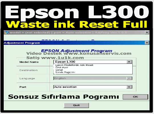 Epson L300 Emici Dolu Hatası Giderme