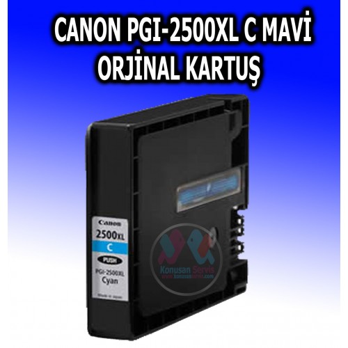 Canon PGI-2500 mavi orjinal Kartuş